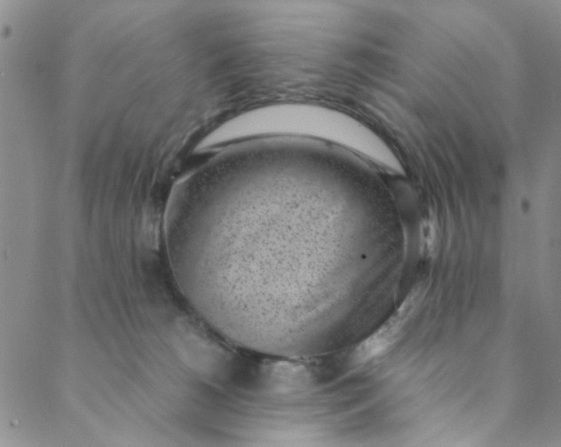 X0000088580180200706081132