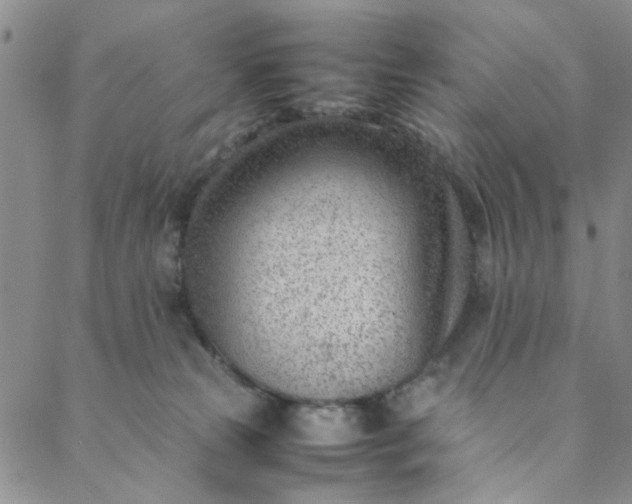 X0000088580181200706081132