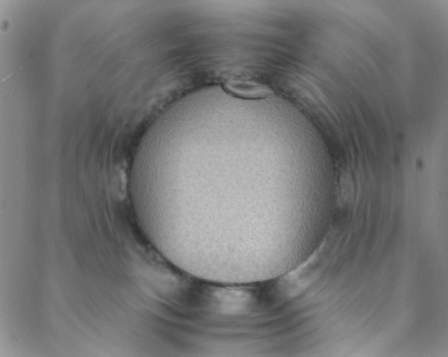 X0000088580183200706081132