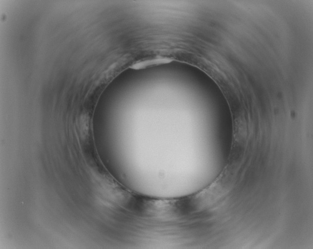 X0000088580184200706081132