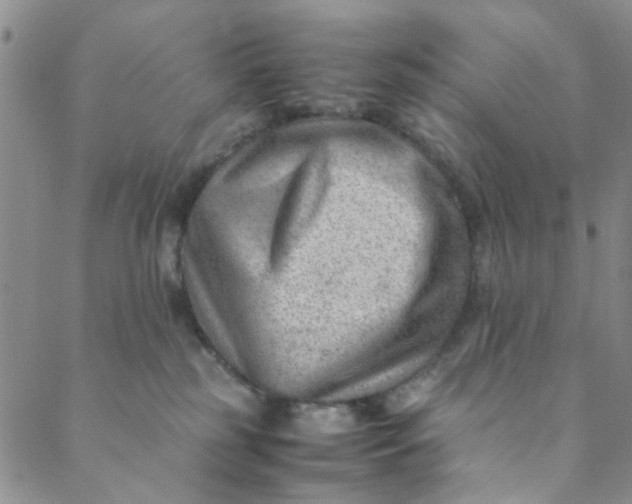 X0000088580185200706081132