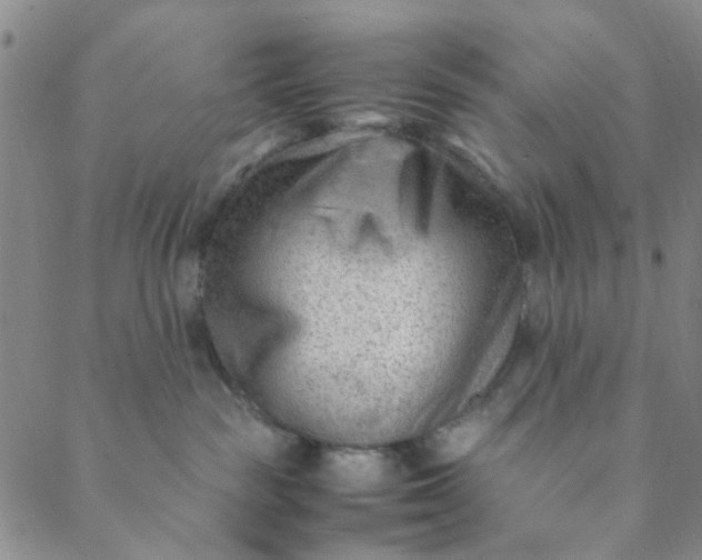 X0000088580189200706081132