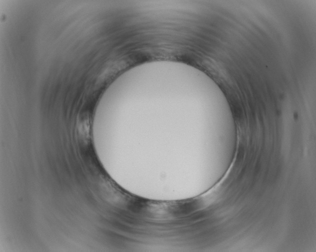 X0000088580190200706081132