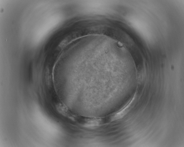 X0000088580191200706081132