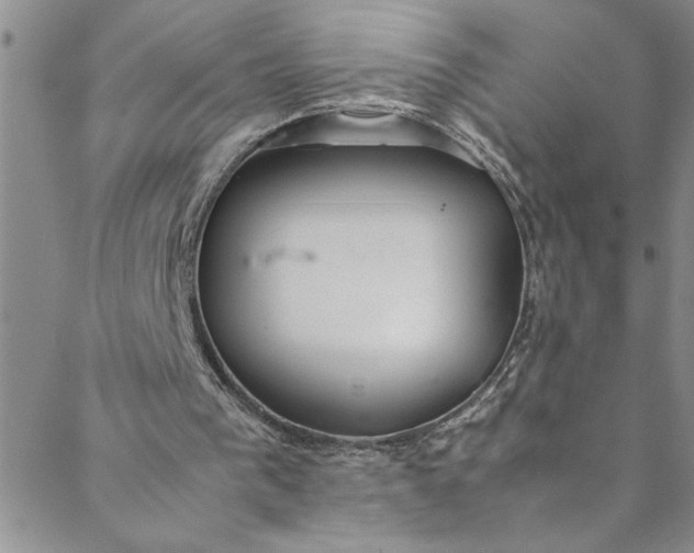 X0000088580193200706081131