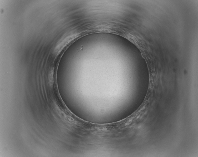 X0000088580194200706081131