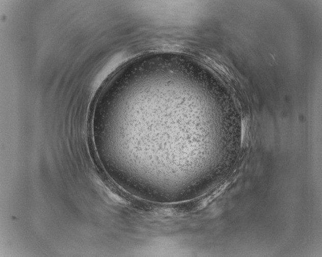 X0000088580195200706081131