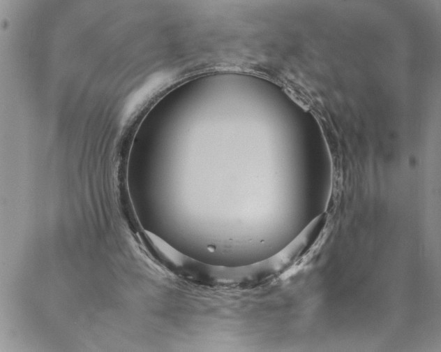 X0000088580197200706081131