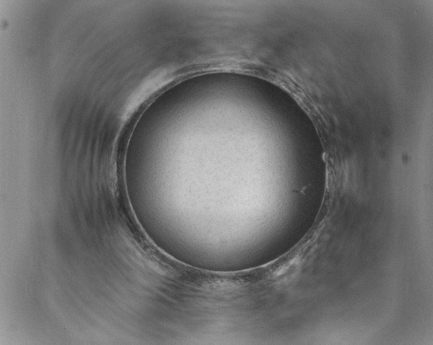 X0000088580198200706081131