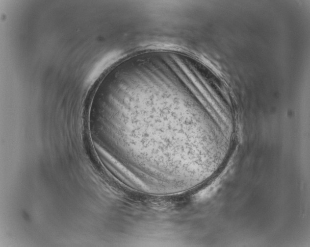 X0000088580199200706081131