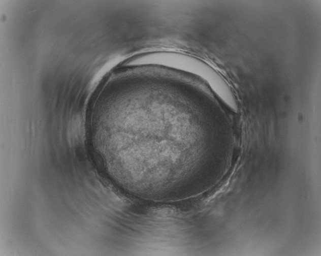 X0000088580200200706081131