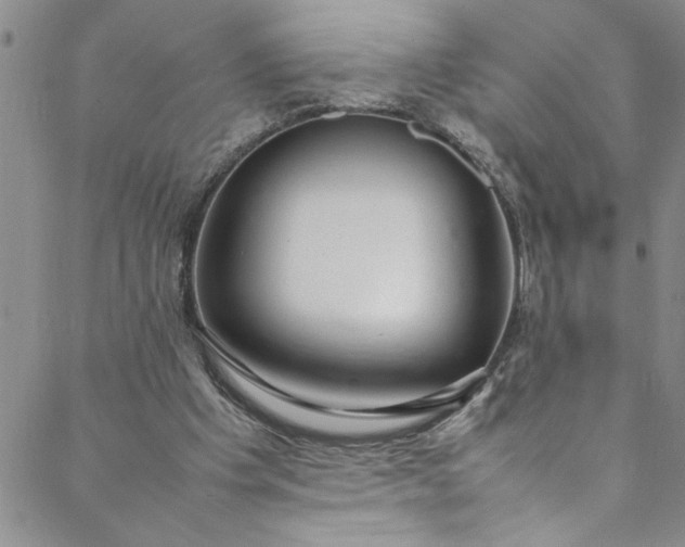 X0000088580201200706081131