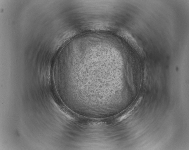 X0000088580202200706081131