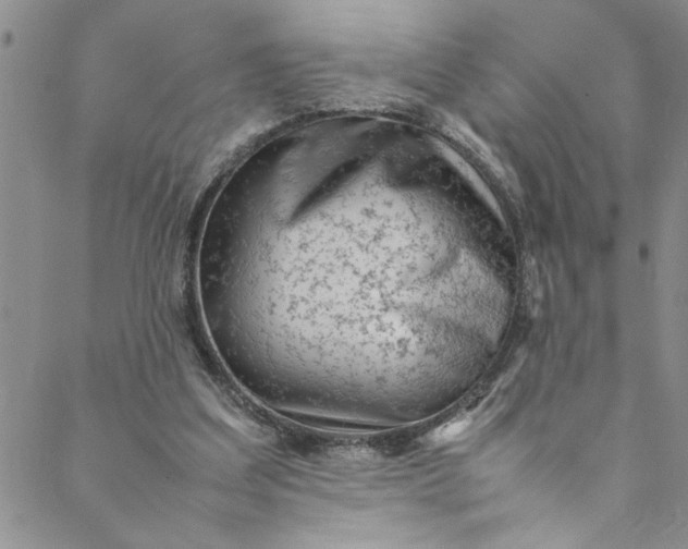 X0000088580203200706081131