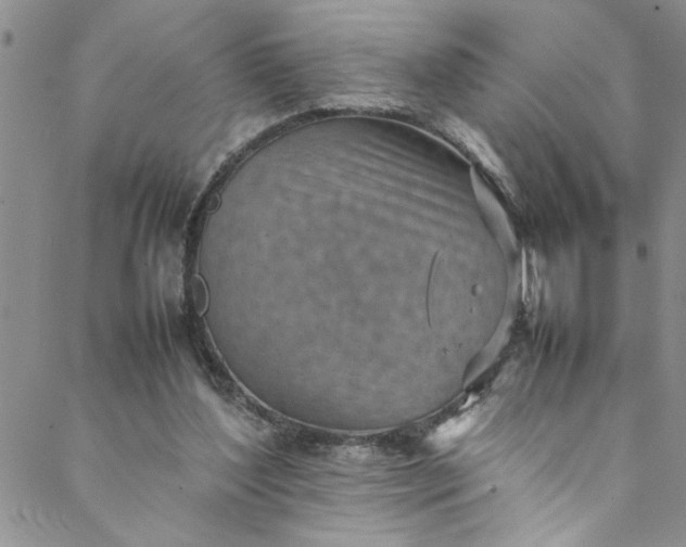 X0000088580204200706081131