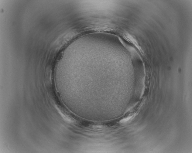 X0000088580205200706081131