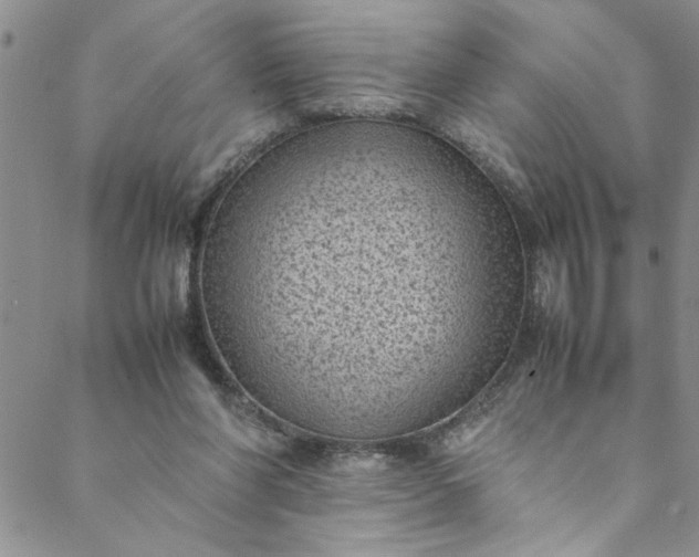 X0000088580206200706081131