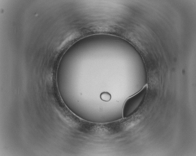 X0000088580207200706081131