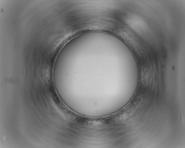 X0000088580208200706081131