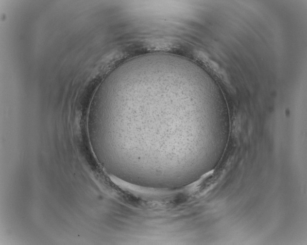 X0000088580209200706081131