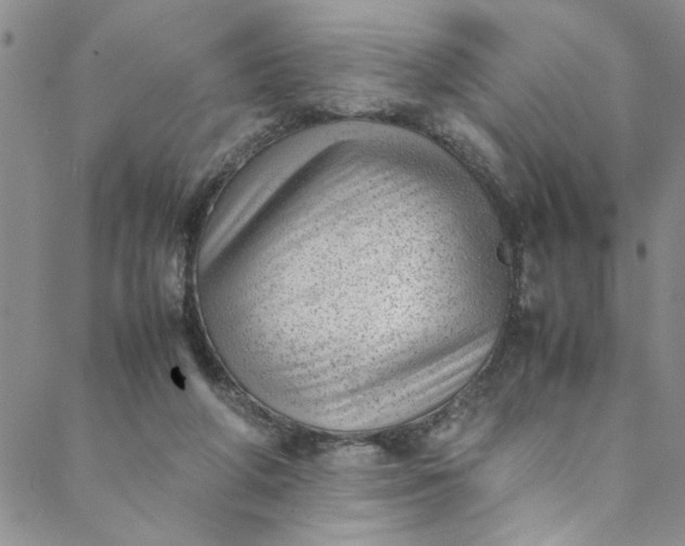 X0000088580210200706081131