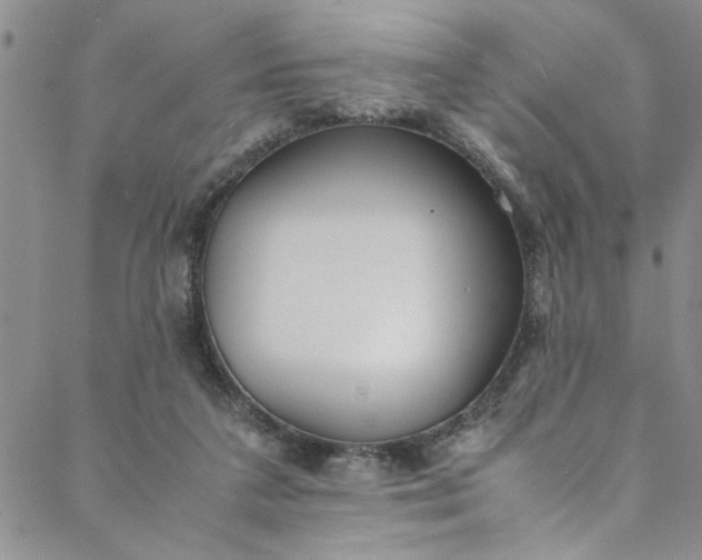 X0000088580211200706081131