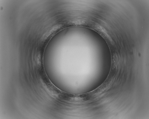 X0000088580212200706081131