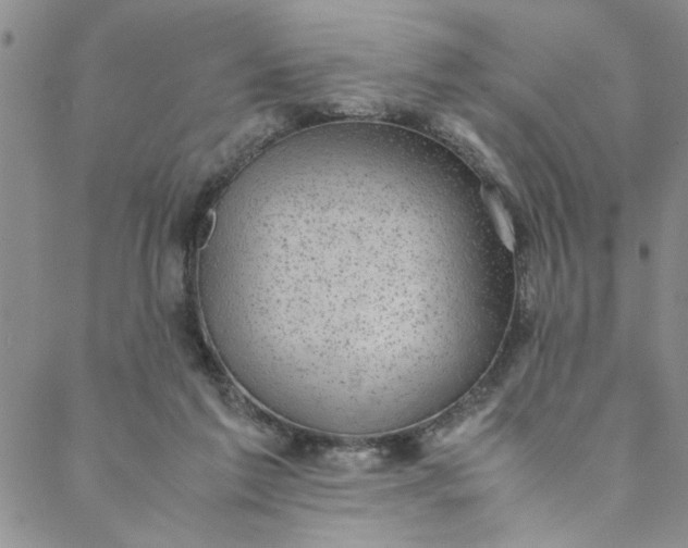 X0000088580213200706081131