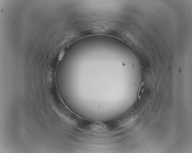 X0000088580215200706081131