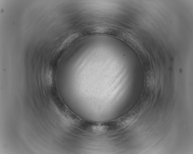 X0000088580216200706081131