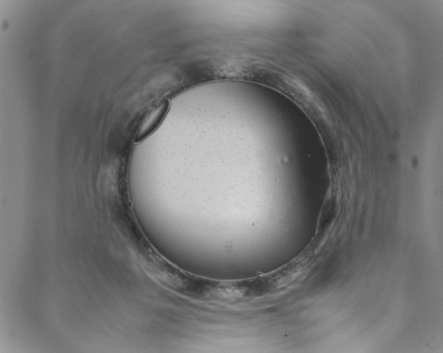 X0000088580217200706081131