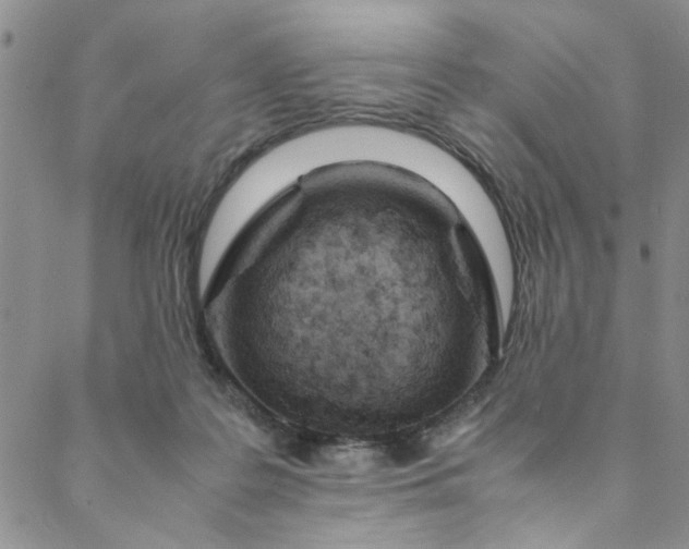 X0000088580219200706081131