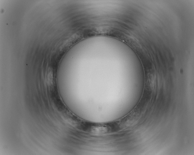 X0000088580220200706081131