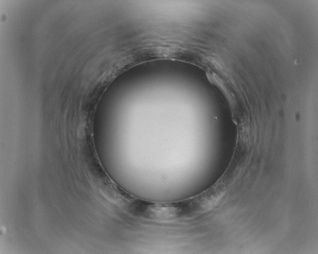 X0000088580221200706081131