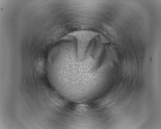 X0000088580222200706081131