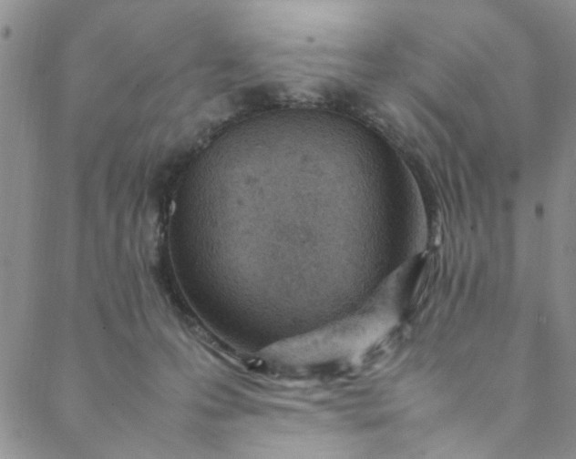 X0000088580223200706081131