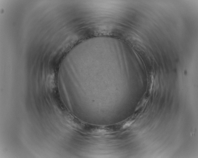 X0000088580224200706081131