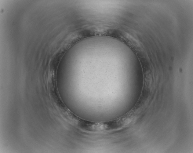 X0000088580225200706081131