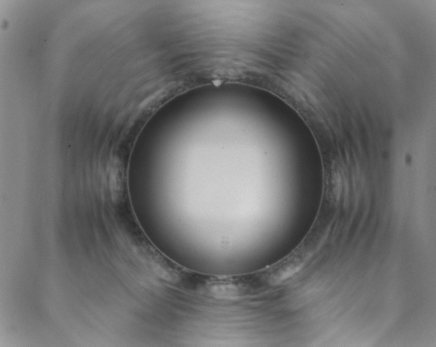 X0000088580228200706081131