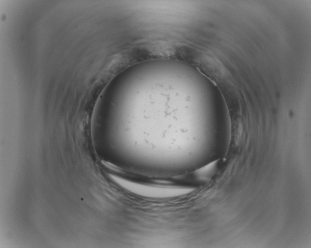 X0000088580229200706081131