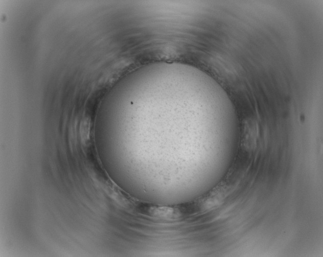 X0000088580230200706081131