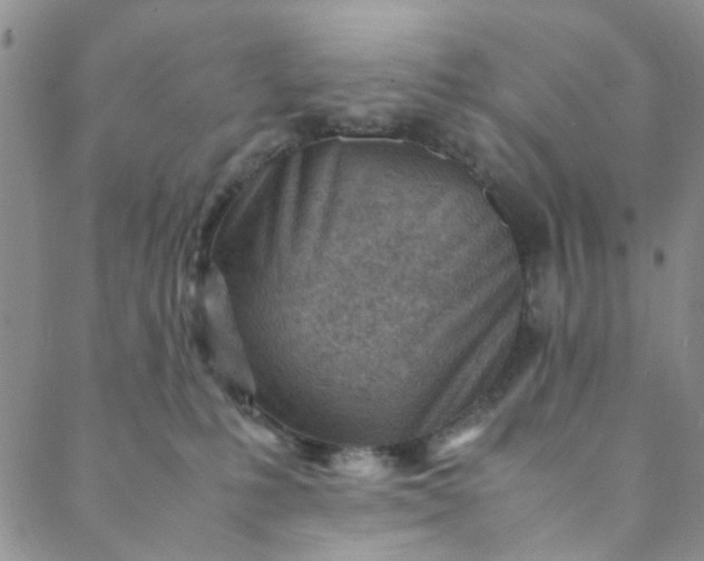 X0000088580231200706081131