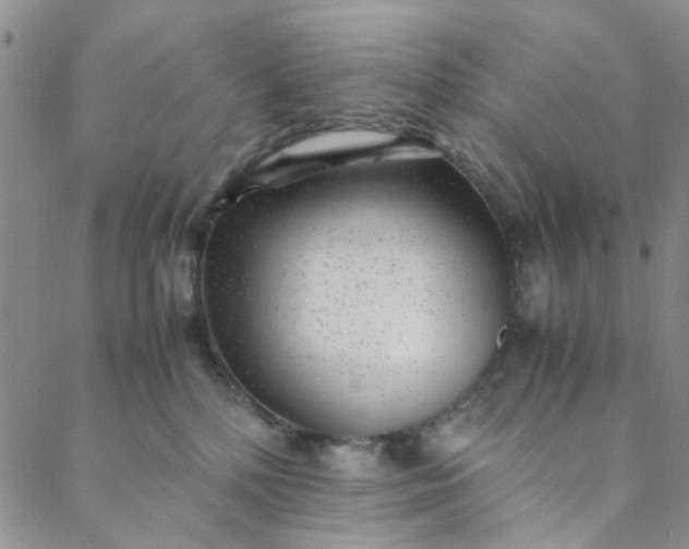 X0000088580232200706081131