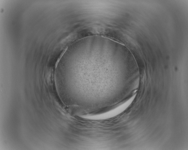 X0000088580233200706081131