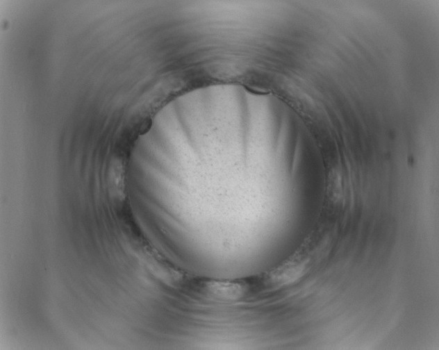 X0000088580234200706081131