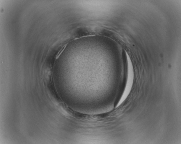 X0000088580235200706081131