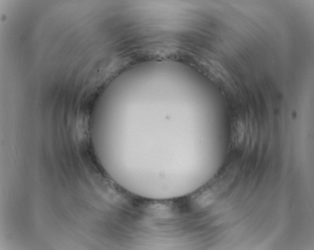 X0000088580236200706081131