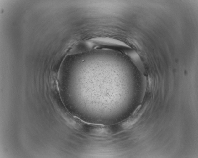 X0000088580237200706081131