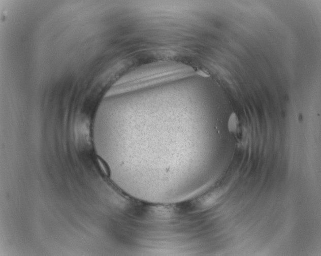 X0000088580238200706081131