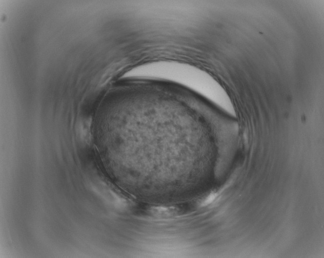 X0000088580239200706081131